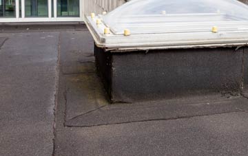 disadvantages of Dolley Green flat roofs