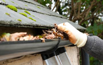 gutter cleaning Dolley Green, Powys