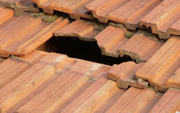 roof repair Dolley Green, Powys